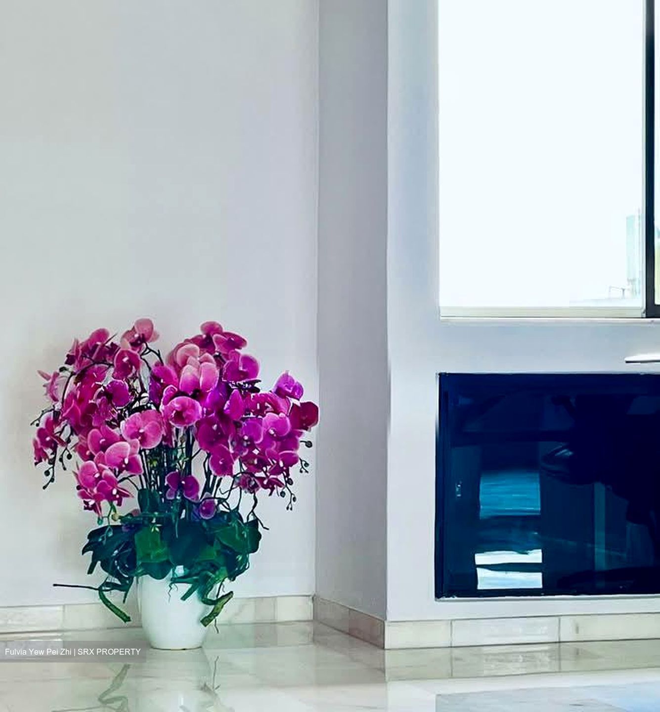 Balmoral Point (D10), Apartment #544493851
